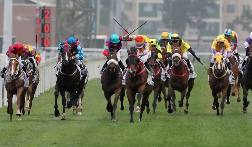Earn easily from horse racing betting